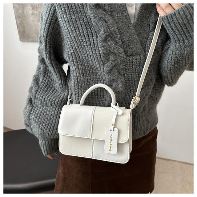 Niche Design Portable Small Bag Women's 2024 Winter New Fashionable Commuter Small Square Bag High Beauty Shoulder Bag detail 11
