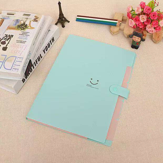 Smile A4 Accordion File Bag for Organizing Test Papers, Subject-Specific Student Tutoring Bag, Customizable Folder for Student Office Use detail 4