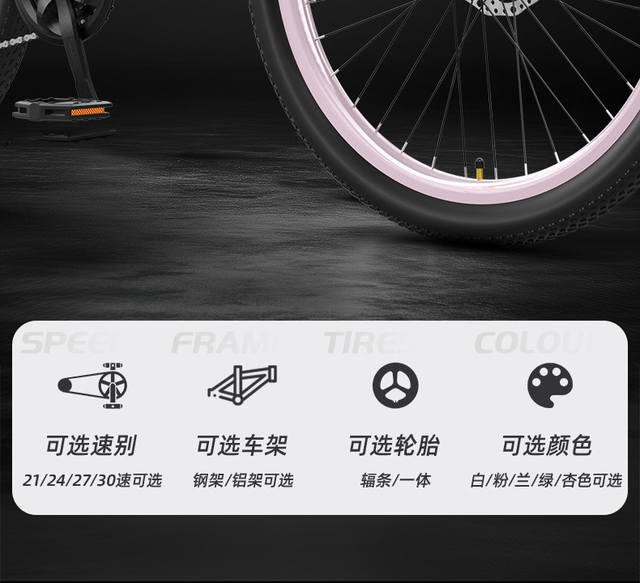 Mountain Bike for Adults, Women's Model, with Gears, for Teenagers, Road and Campus Use, Shock-Absorbing Bicycle, 24inch Model for Boys, for Junior High School Students detail 6