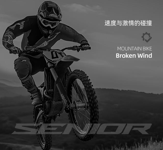 Maxi 26inch Mountain Bike 21/27/30 Speed Variable-Speed Dual Disc Brake Youth Commuter Off-Road Bicycle detail 2