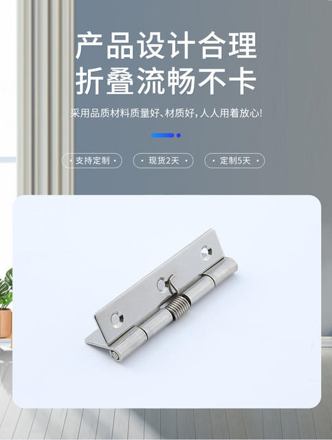 Manufacturer Wholesale 304 Stainless Steel Spring Hinges, Automatic Closing Rebound Hinges, Industrial Equipment Spring Hinges detail 5