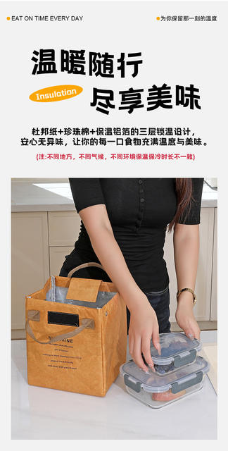 Dupont Paper Insulated Lunch Bag Bento Bag Office Worker Portable Lunch Box Bag Japanese Creative Niche Ins Ice Bag Student detail 2