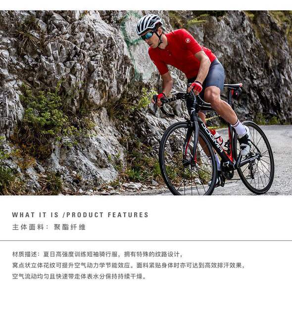 Cross-Border Downhill Cycling Clothing Scorpion Tour De France Cycling Jersey Short-Sleeve T-Shirt Team Edition Unisex Quick-Dry Top detail 8