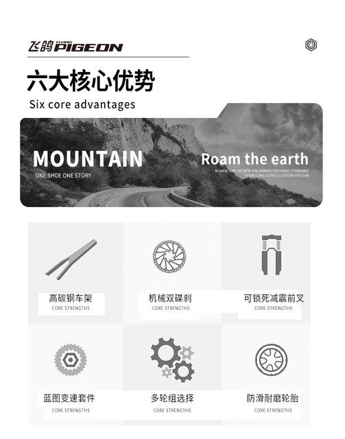 Flying Pigeon Brand Mountain Bike Men's Variable Speed Off-Road Bike Teenagers Middle School Students Ladies Road Racing Adult detail 8