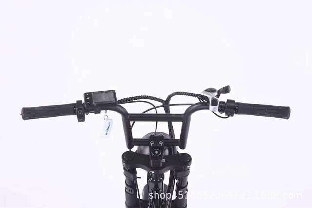 Snow and Beach Electric Bikes 48V Fat Tire 7-Speed Adult Off-Road Cross-Border Mountain Bike detail 4