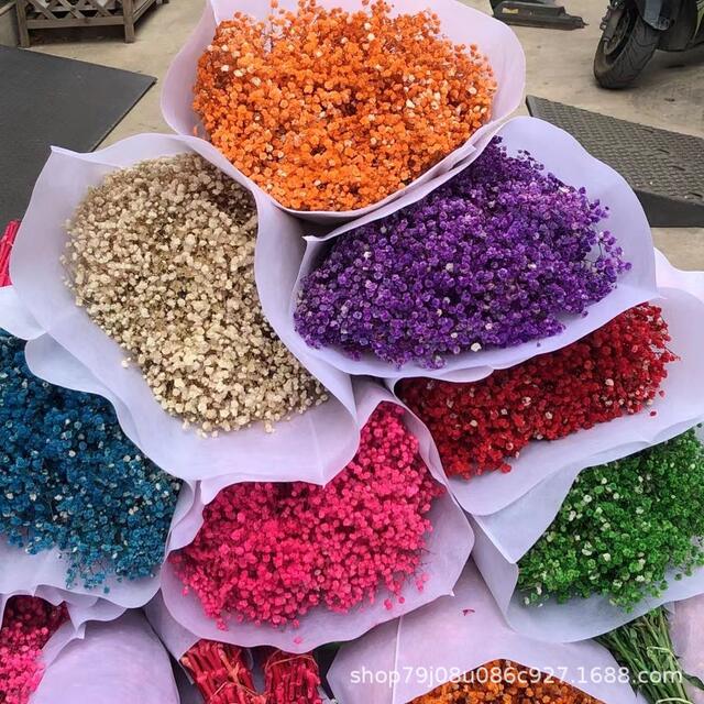 Gypsophila Eternal Flower Dried Flower Bouquet Yunnan Factory Direct Sales Gypsophila Eternal Flower Handmade DIY Wholesale Flowers