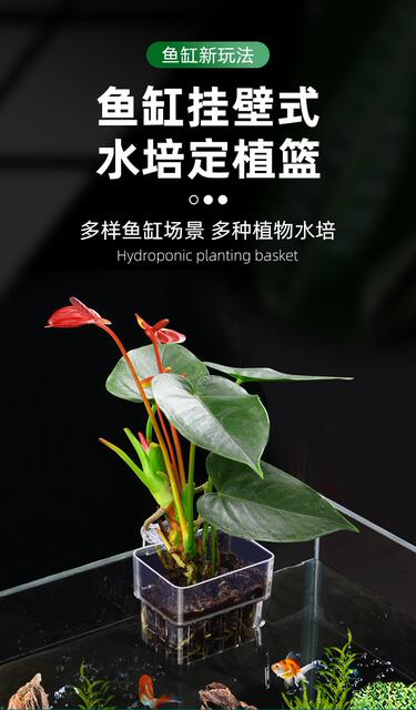 Green Radish Planting Cup, Aquatic Plant Cup, Water Grass, Hydroponic, Water-Growing Plant, Hanging Planting Basket, Fish Tank Decoration and Landscaping Accessories detail 1