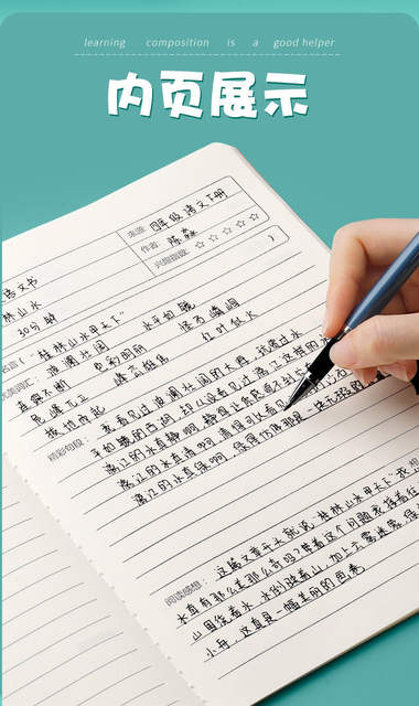Reading Notebook Good Words and Sentences Excerpts Reading Notebook Pupil Cards Accumulated over the Year detail 2