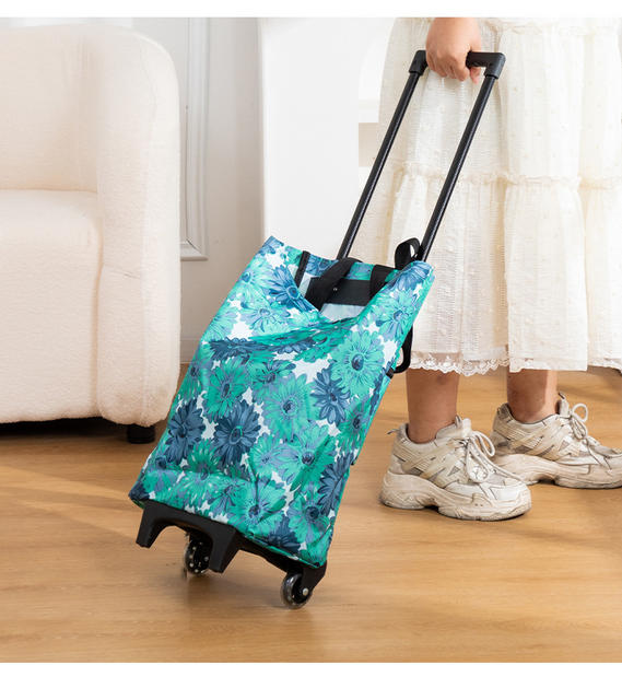 Trolley Shopping Cart Supermarket Grocery Shopping Trolley Portable Foldable Trailer Home Shoulder Express Trolley detail 10