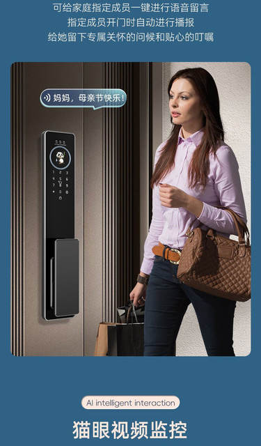 Ai Face Recognition Smart Lock, Home Smart Door Lock, Fingerprint Password Lock, Entry Door Anti-Theft Door Electronic Lock, Cross-Border detail 5