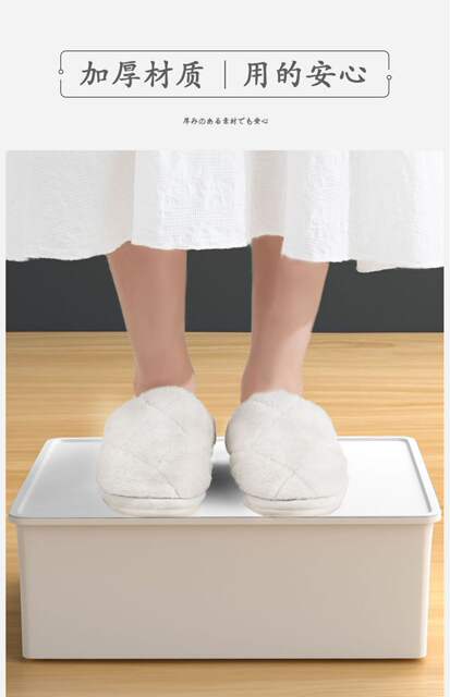 Household Underwear Socks Storage Box Plastic Cosmetic Organizer Storage Underwear Bra Underwear Storage Box detail 9