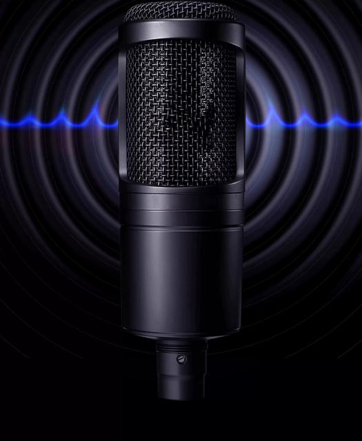 Cross-Border Foreign Trade At2020 Microphone Wired Condenser Microphone Anchor Recording Large Diaphragm Microphone Microphone detail 5