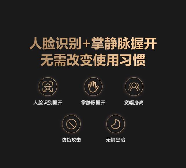 Face Recognition Smart Door Lock Fingerprint Password Lock Entry Door Smart Lock Three-Camera Monitoring Cross-Border Graffiti Palm Vein Recognition detail 12