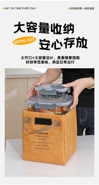 Dupont Paper Insulated Lunch Bag Bento Bag Office Worker Portable Lunch Box Bag Japanese Creative Niche Ins Ice Bag Student detail 7