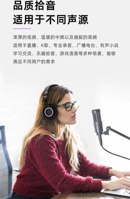 Cross-Border Foreign Trade At2020 Microphone Wired Condenser Microphone Anchor Recording Large Diaphragm Microphone Microphone detail 3