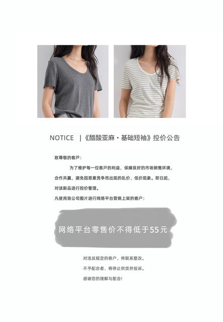 Fenna Fu's New Spring and Summer Silk Base Shirt for Women, Lyocell Short-Sleeve Linen Slimming T-Shirt, Basic Style with a Cool Feel detail 2