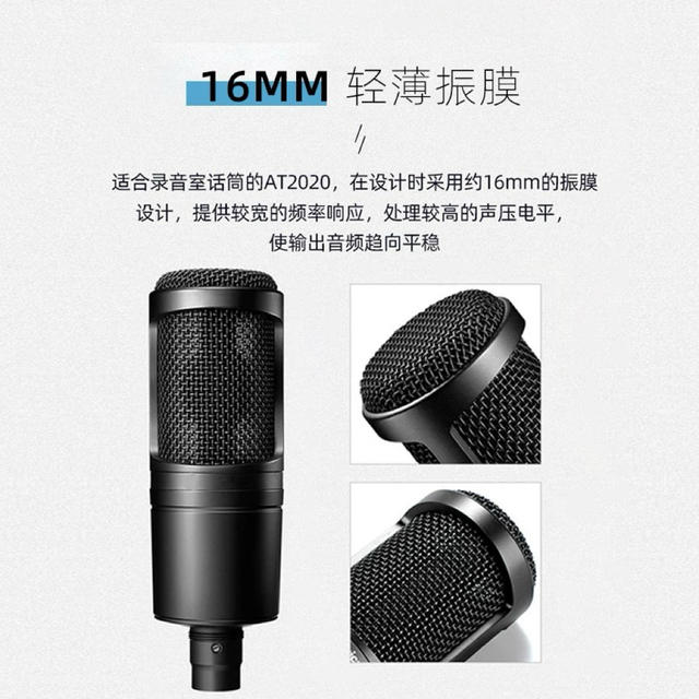 Cross-Border Foreign Trade At2020 Microphone Wired Condenser Microphone Anchor Recording Large Diaphragm Microphone Microphone detail 2