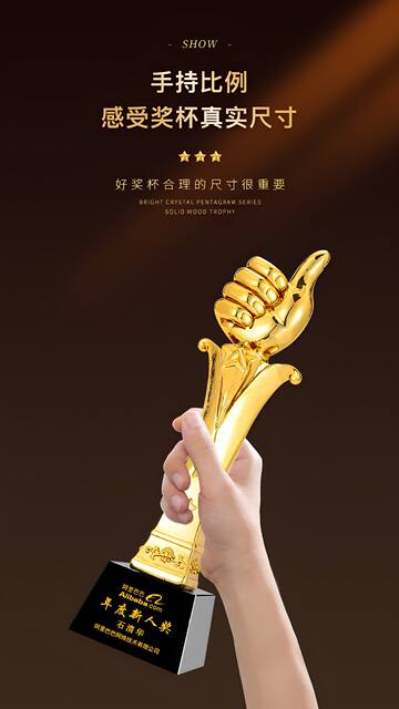 Customized Trophy for Annual Meeting, Creative Outstanding Employee Recognition, Singing and Dancing Competition, Resin Crystal Trophy Customization detail 11
