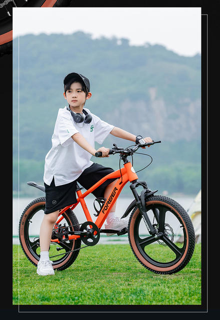 Permanent Bicycle Children's Middle and Big Children 6-8-15 Years Old Girls Variable Speed Mountain Bike Primary School Bicycle Disc Brake detail 7