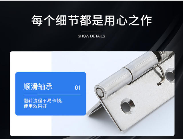 Manufacturer Wholesale 304 Stainless Steel Spring Hinges, Automatic Closing Rebound Hinges, Industrial Equipment Spring Hinges detail 9