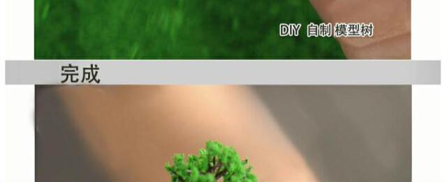 Factory Direct Supply Architectural Sand Table Model Handmade Materials Artificial Tree Micro Landscape Small Tree Camphor Tree Street Tree Finished Product detail 6
