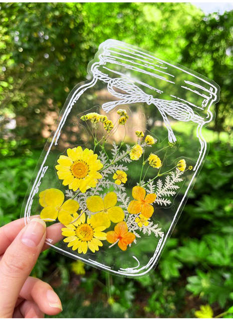 Dried Flower Bookmarks, Handmade DIY Materials, Autumn Childhood Collection Book in Bottles, Transparent Leaf Specimen Plastic Film detail 9