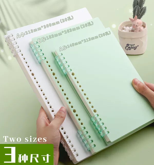 B5 Notebook A5 Thick Notebook High-Value Coil Notebook Grids Notebook College Postgraduate Entrance Examination Diary Loose-Leaf Book detail 8